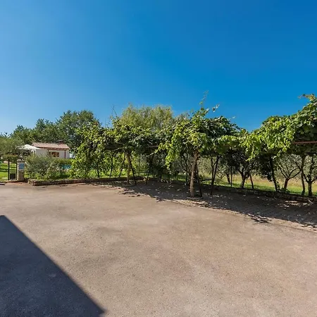 Complex Vetrina-shared Pool Nova Vas (Porec)